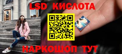 дживик Тара