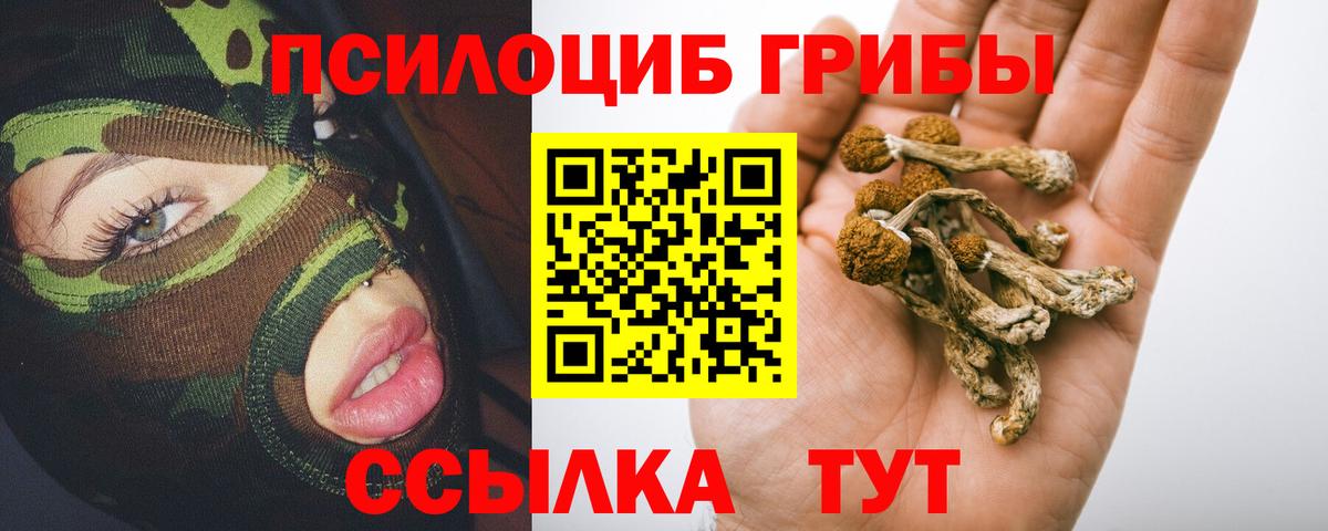 Галлюциногенные грибы Psilocybine cubensis Родники