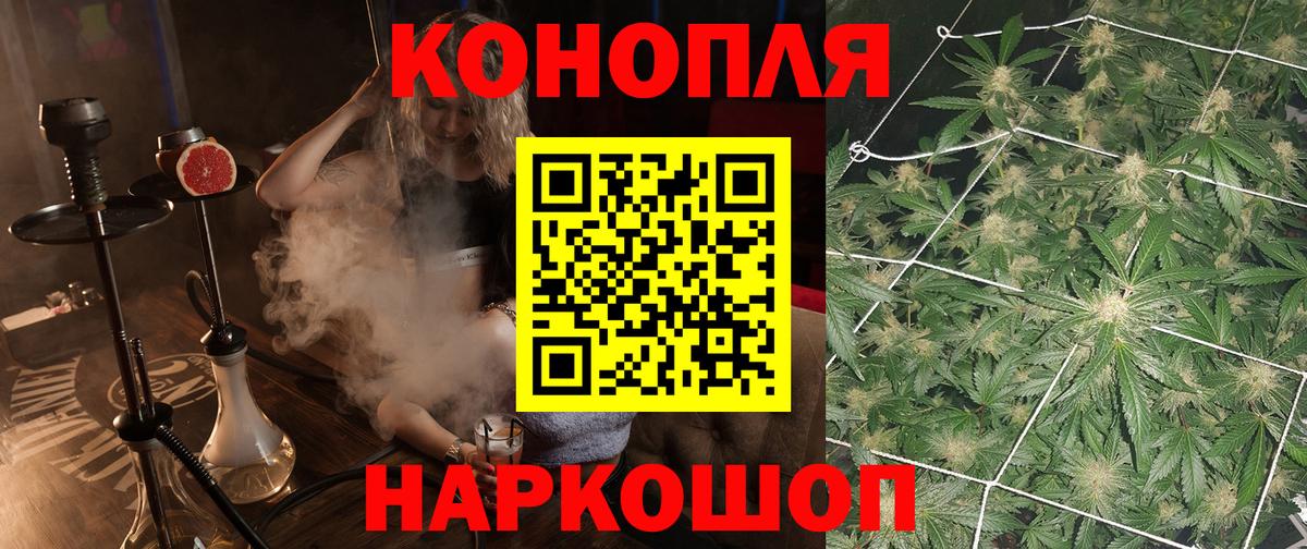 Бошки Шишки сатива Родники